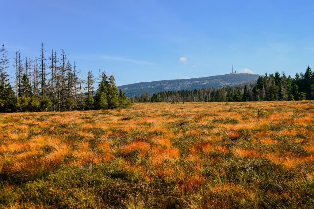 Hotel Zum Harzer Clausthal-Zellerfeld Esterno foto